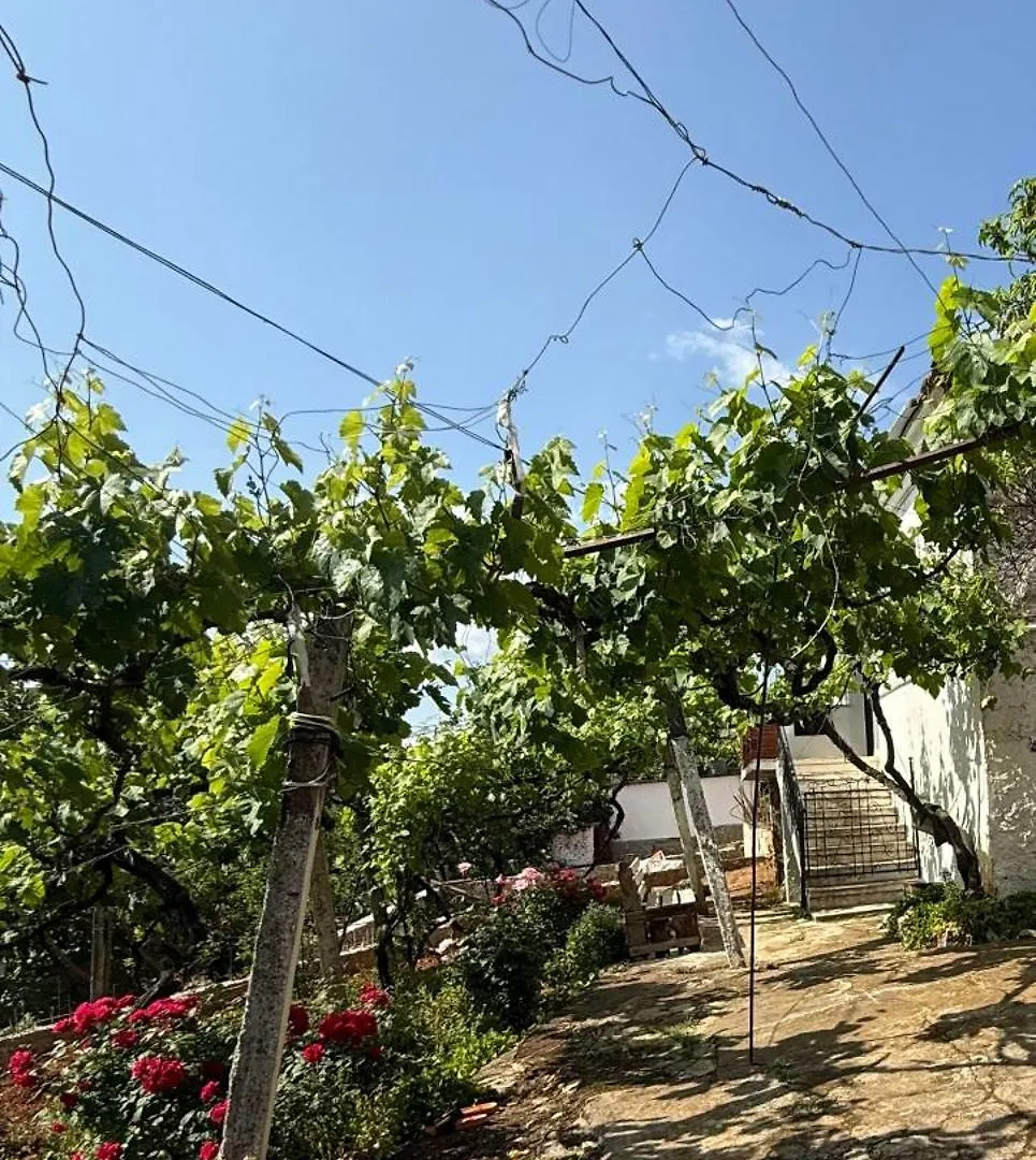 Guest House Korance Lini